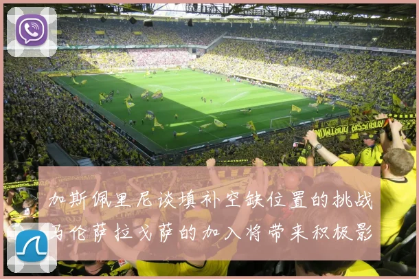 加斯佩里尼谈填补空缺位置的挑战马伦萨拉戈萨的加入将带来积极影响