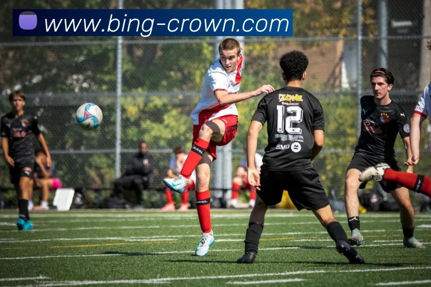 App Interface Preview