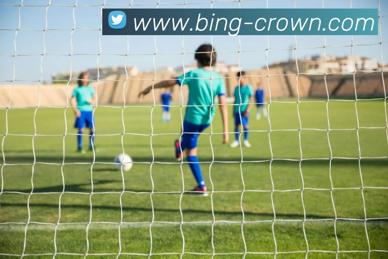 皇冠体育APP 封面图